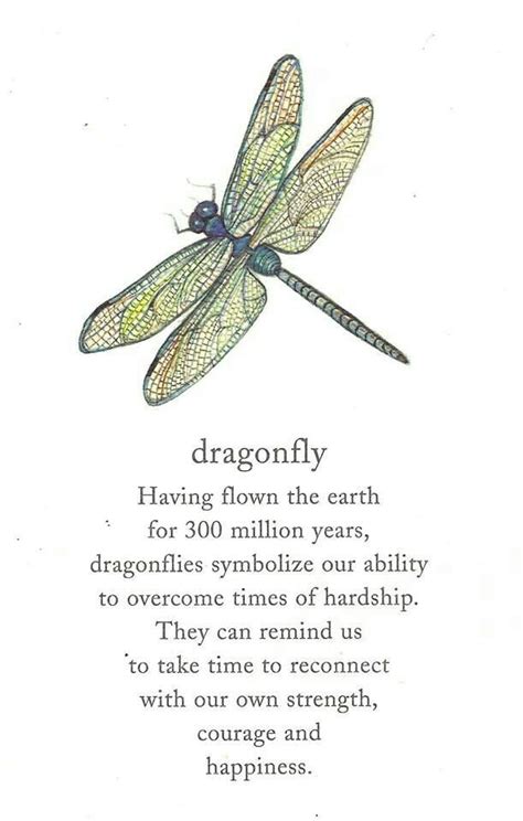 Dragonfly Poems And Quotes. QuotesGram