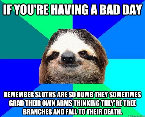 If you're having a bad day remember sloths are so dumb they sometimes grab their own arms ...