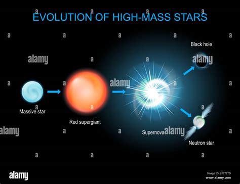 Stellar evolution. Life cycle of massive stars from red supergiant, and supernova, to black hole ...