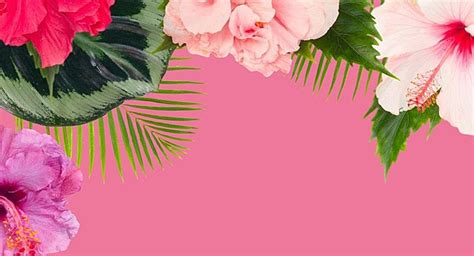 Tropical Palm Leaves Border, Tropical, Palm, Border PNG Transparent Image and Clipart for Free ...