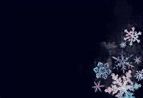 Purple Snowflake Wallpaper - WallpaperSafari