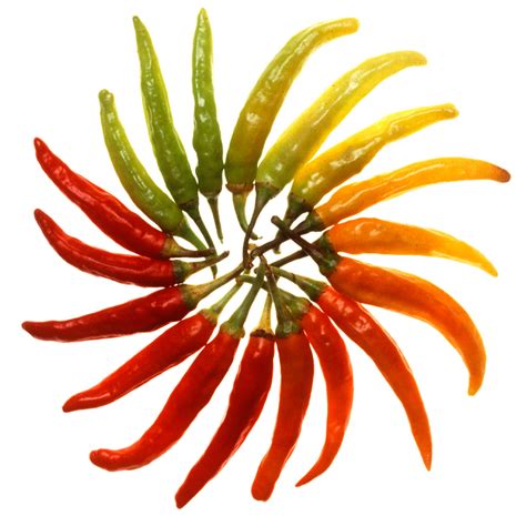 File:Charleston Hot peppers white background.jpg - Wikimedia Commons