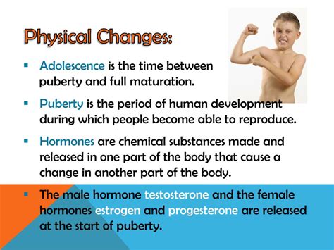 Ppt Physiological Changes During Puberty Menopause Powerpoint | The Best Porn Website