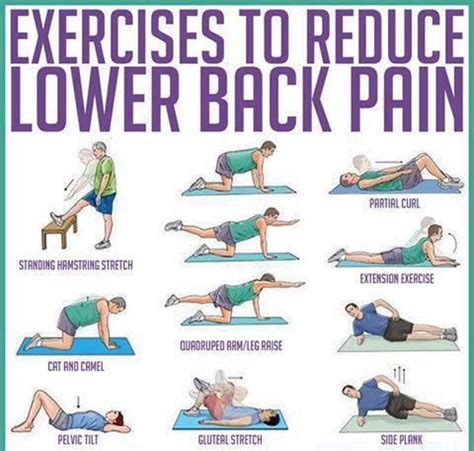 Exercises For Low Back Pain - Complete Fitness Design