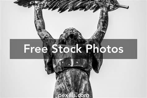 Freedom Statue Photos, Download The BEST Free Freedom Statue Stock Photos & HD Images