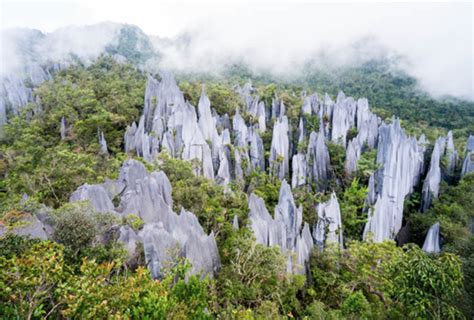 Sarawak National Park - Anti Vuvuzela