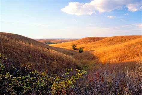 Photo of an autumn prairie Landscape