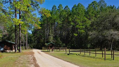 30 Fun Things to Do in Tallahassee, Florida