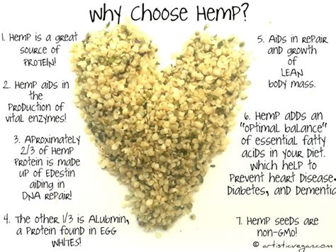 5 Key Reasons to Include Hemp Seeds in Your Daily Diet