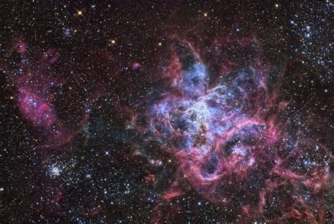 Tarantula Nebula - Alchetron, The Free Social Encyclopedia