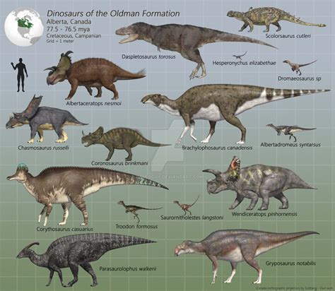 Dinosaurs of the Oldman Formation by PaleoGuy | Prehistoric animals, Dinosaur, Dinosaur fossils