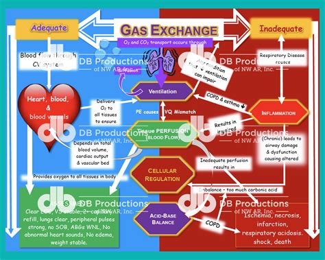 Nursing Concept Map Examples Diabetes