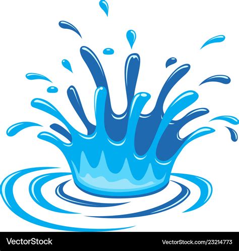 Water drop and splash on white background Vector Image