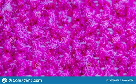 Texture of Pink Wool Knitwear. for Background, Wallpaper, Wrapping Paper, Web Page Background ...