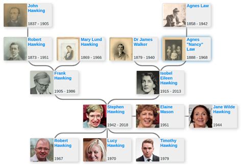 Family tree of Stephen Hawking - Blog for Entitree