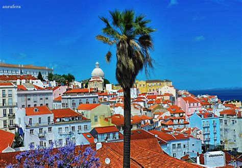 THE 10 CLOSEST Hotels to Alfama, Lisbon