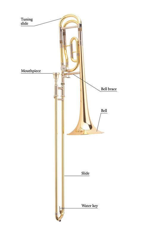 The Trombone