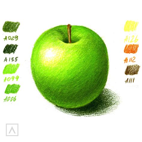 Green Apple Drawing Realistic