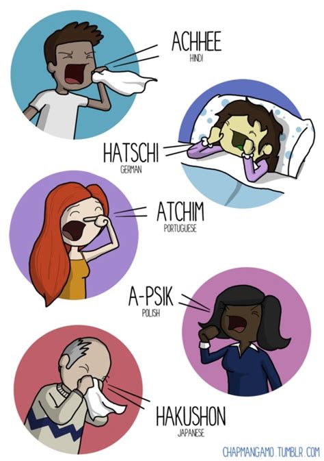 Translating ACHOO! — How to sneeze in 10 different languages | 22 Words