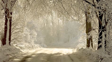 1920x1080 Snowy forest road desktop PC and Mac wallpaper