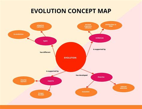 Evolution Concept Map Template Word Google Docs Template Net 540 | The Best Porn Website