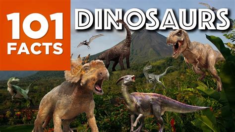 Interesting Facts About Dinosaurs