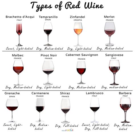 An easy wine guide for beginners – Artofit