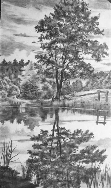 Original pencil drawing: Tree Reflection 1930s in 2024 | Drawing scenery, Landscape drawings ...