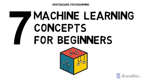 7 Basic Machine Learning Concepts for Beginners | Basic ML Concepts