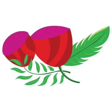 Red Rose Flowers Three Flower, Red Rose, Red Rose Flower, Flowers PNG and Vector with ...