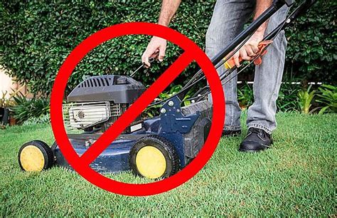 When Should You Stop Mowing Your Lawn In North Dakota?