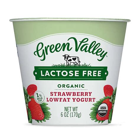 Green Valley Creamery Organic Low Fat Lactose Free Strawberry Yogurt - Shop Yogurt at H-E-B