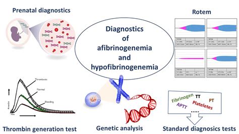 Congenital afibrinogenemia - Pictures