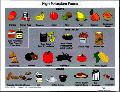 The Dialysis Diet: What It Is & Why It's Necessary - HubPages