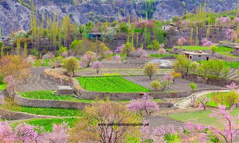 Hunza Valley