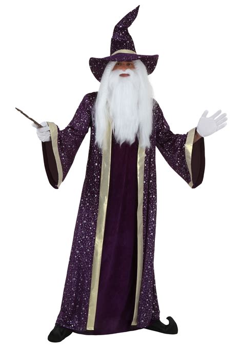 Adult Purple Wizard Costume