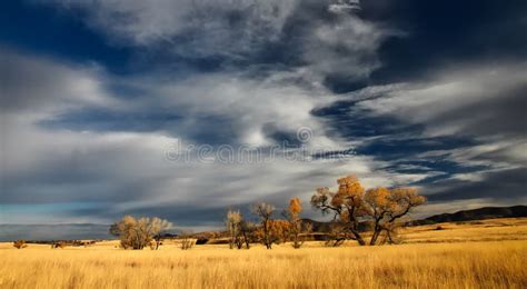 Sky, Grassland, Ecosystem, Prairie Picture. Image: 103019638