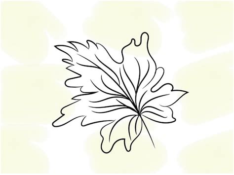 Premium Vector | Hand drawn monstera leaf outline illustration