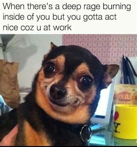 25 Mood-Improving Memes for When You're Having a Bad Day at Work | Fairygodboss