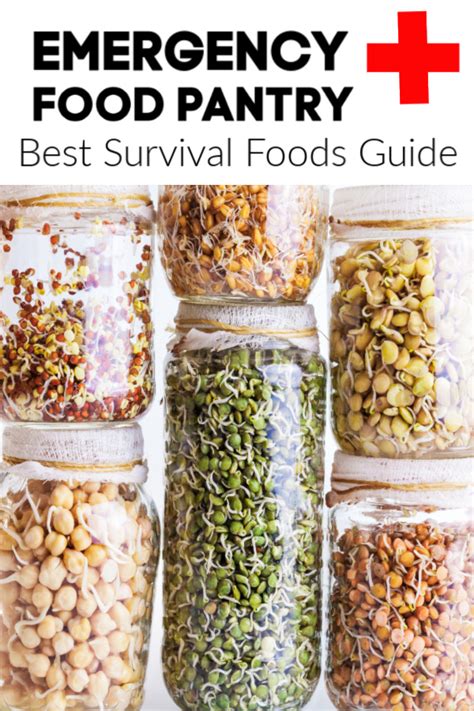 Best Survival Food: Taste Test And Review - Outdoor Life - BruteForceSeo