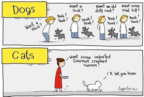 10+ Hilarious Comics That Perfectly Illustrate The Differences Between Cats And Dogs | DeMilked