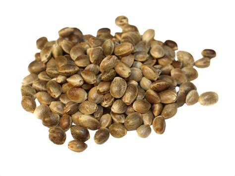 Hemp seeds Facts, Health Benefits and Nutritional Value