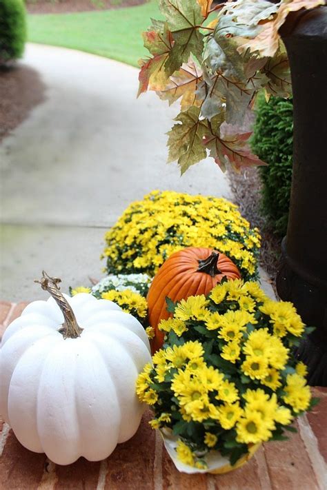 Fall Front Porch: Mums + Pumpkins - Refresh Restyle