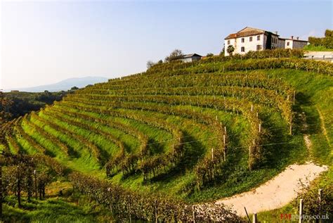 Prosecco Cycling amongst the vineyards of Valdobbiadene Veneto Italy – FABULOUS OUTDOORS