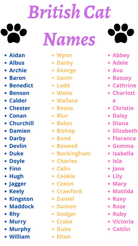 British cat names pets names – Artofit