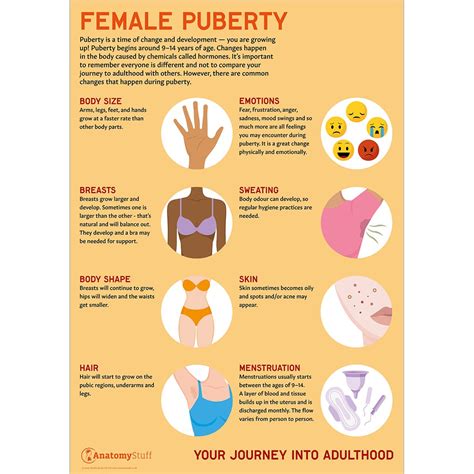 Changes In Puberty For Girls