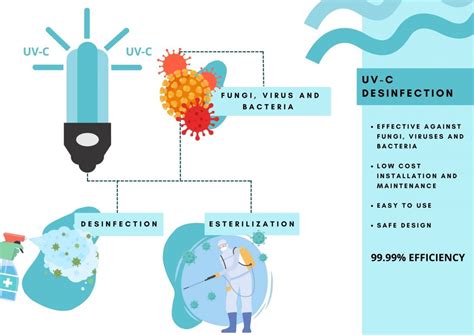 THE IMPORTANCE OF USING UV-C LIGHT. - Germiled