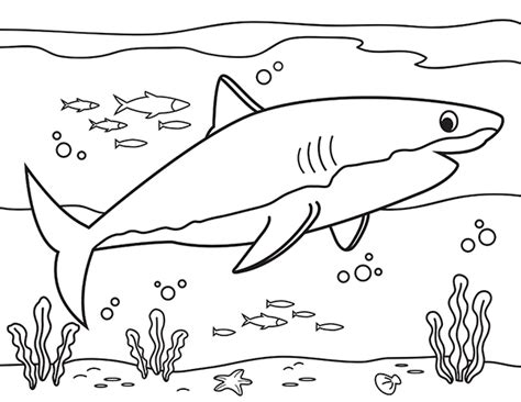 Printable Great White Shark Coloring Page