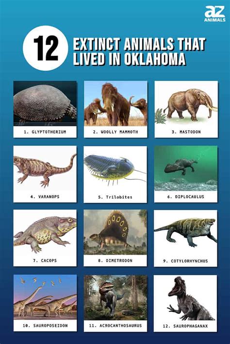 Discover 12 Extinct Animals That Lived In Oklahoma - A-Z Animals