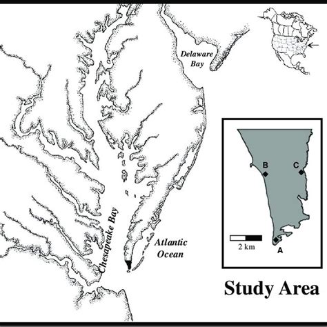 Map of study area on lower Delmarva Peninsula. Inset map shows location... | Download Scientific ...